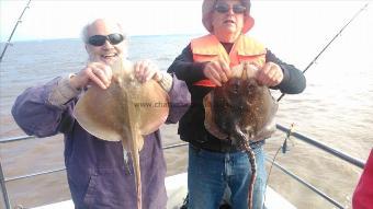 7 lb Small-Eyed Ray by arthur