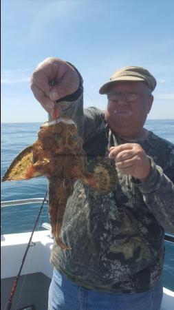 3 lb Monkfish by colin