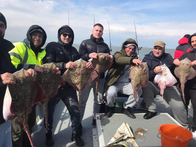 7 lb Thornback Ray by Unknown