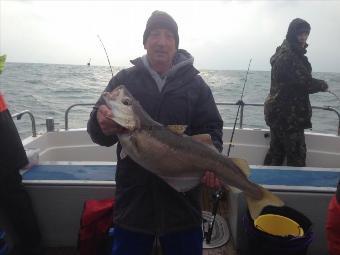 16 lb 8 oz Pollock by Steve Bennet