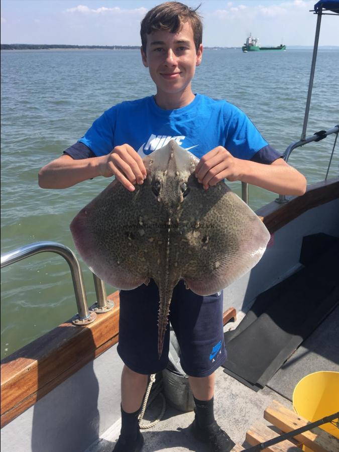 7 lb Thornback Ray by Unknown