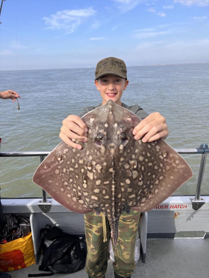 11 lb Thornback Ray by Unknown