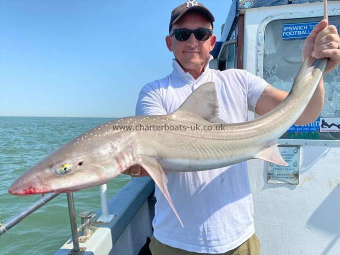 15 lb Smooth-hound (Common) by Mark
