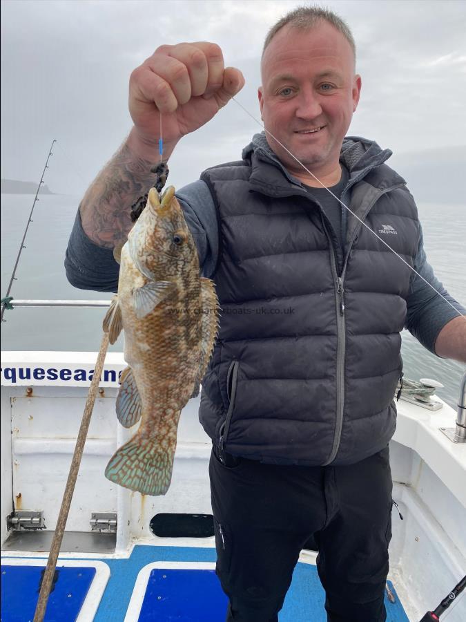 2 lb 2 oz Ballan Wrasse by Chris Beddard.