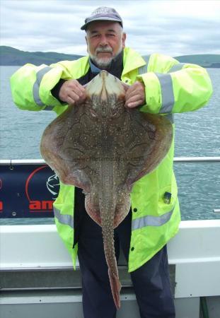 13 lb Undulate Ray by Colin Kennedy