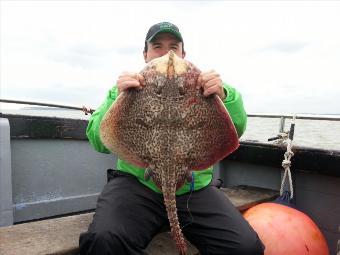 12 lb 2 oz Thornback Ray by Gorge