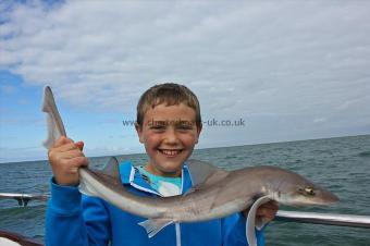 6 lb Starry Smooth-hound by Tom