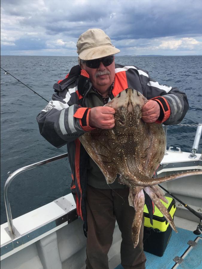 6 lb Undulate Ray by Tom