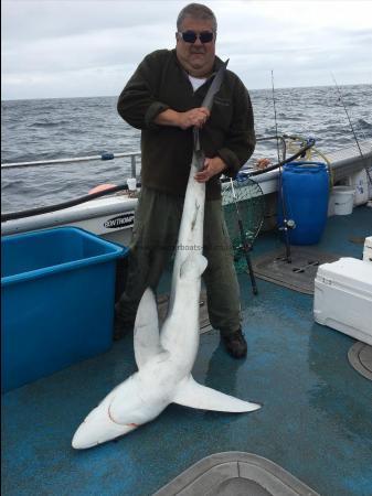 95 lb Blue Shark by Kevin McKie