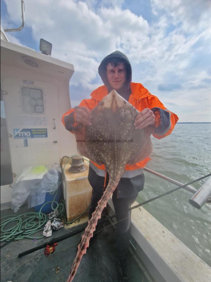 8 lb 4 oz Thornback Ray by Alex