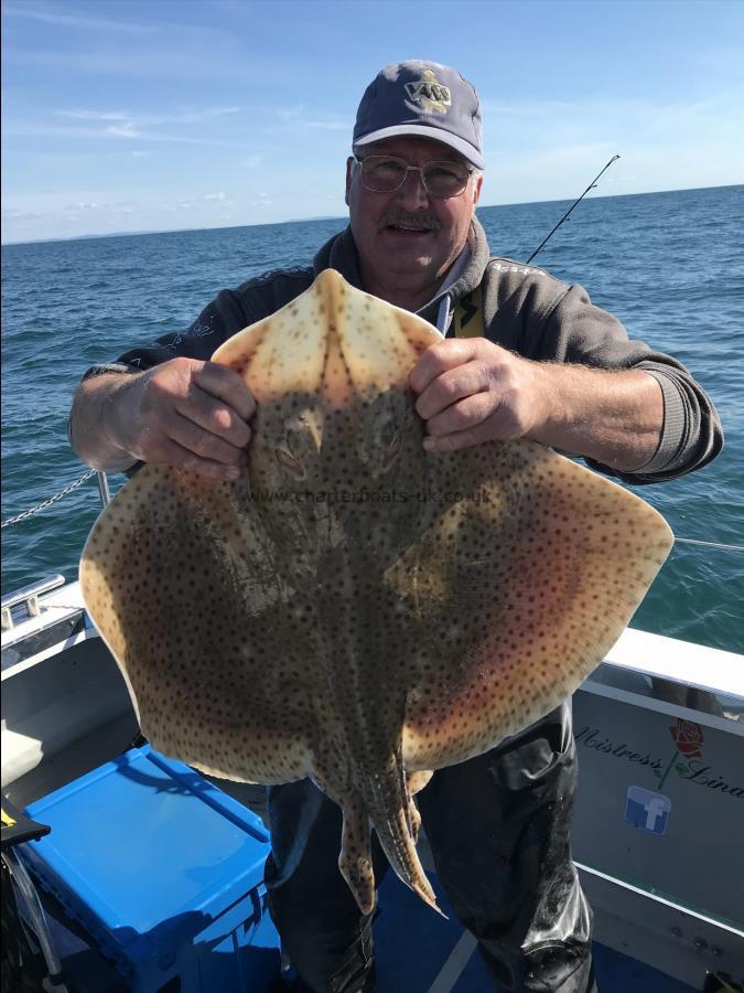 12 lb Blonde Ray by Phil T