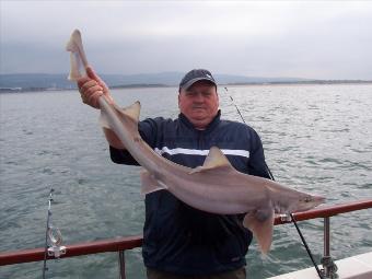 16 lb 12 oz Smooth-hound (Common) by Kierion Jones