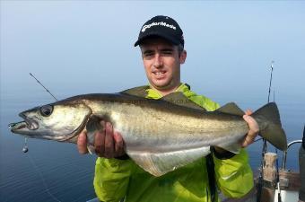 7 lb 13 oz Pollock by James Kynaston