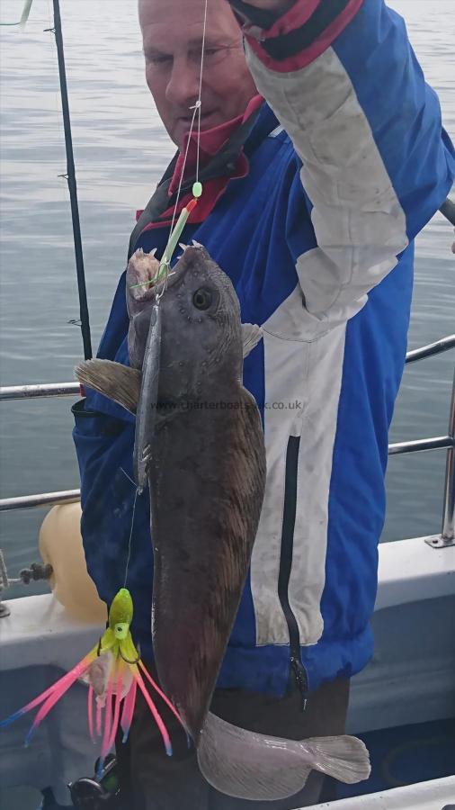 6 lb Wolf Fish by Unknown