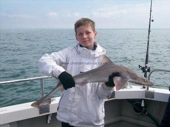 10 lb Starry Smooth-hound by Del Boy