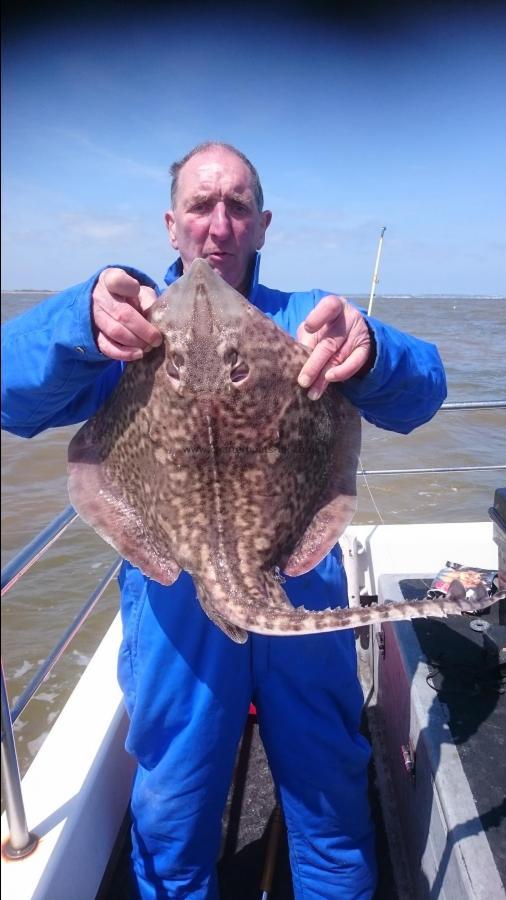 9 lb Thornback Ray by Bob Marshall