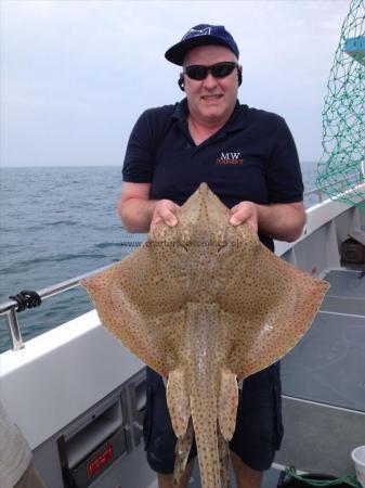 17 lb Blonde Ray by Terry