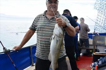 9 lb Cod by Stephen Wake