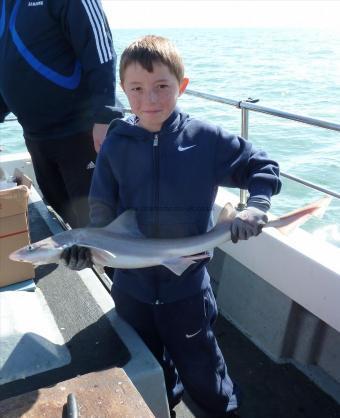 6 lb Smooth-hound (Common) by Bob Marshall