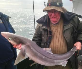 19 lb 8 oz Spurdog by Unknown