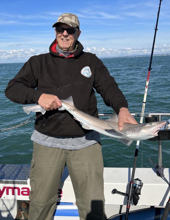 6 lb Smooth-hound (Common) by Dean Levy