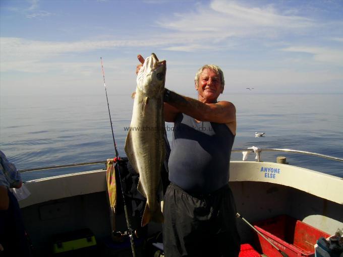 12 lb 12 oz Pollock by Unknown