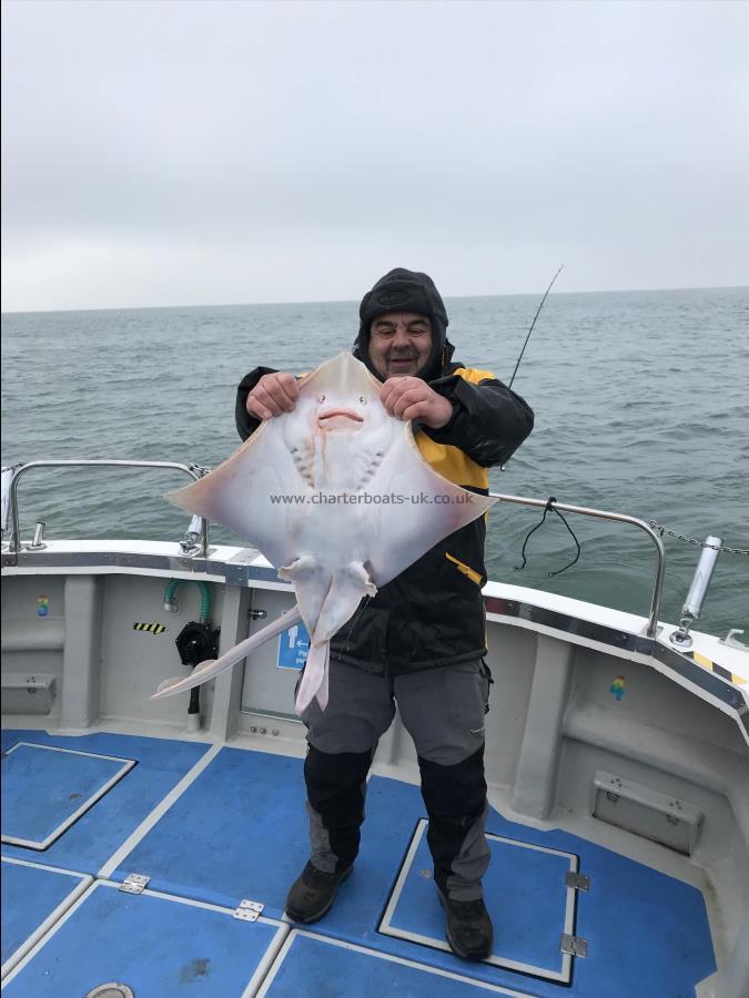 12 lb Blonde Ray by Unknown