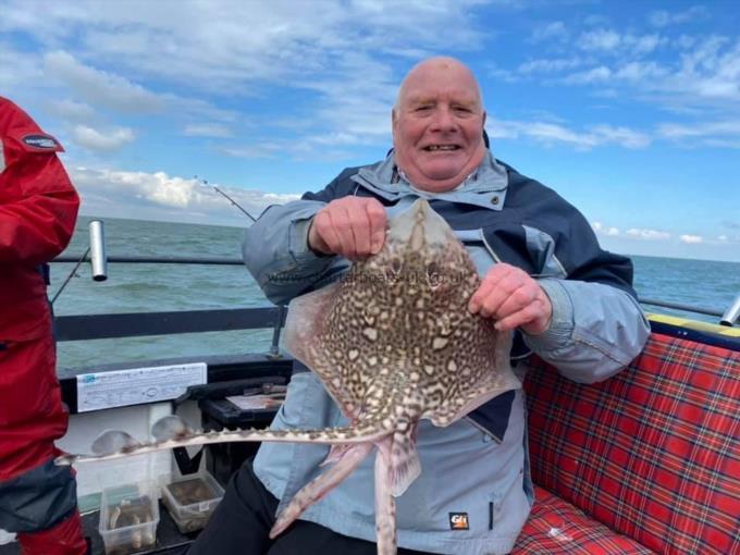 5 lb Thornback Ray by Unknown