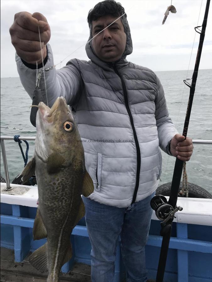 6 lb Cod by Massood from Bradford a nice cod