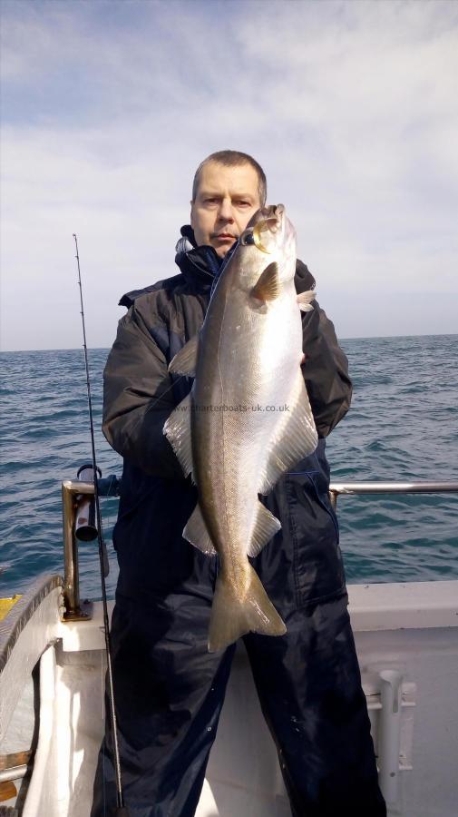 14 lb 12 oz Pollock by Darius