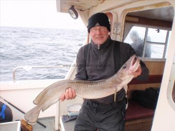 12 lb Ling (Common) by Dave Holden from Burnley.