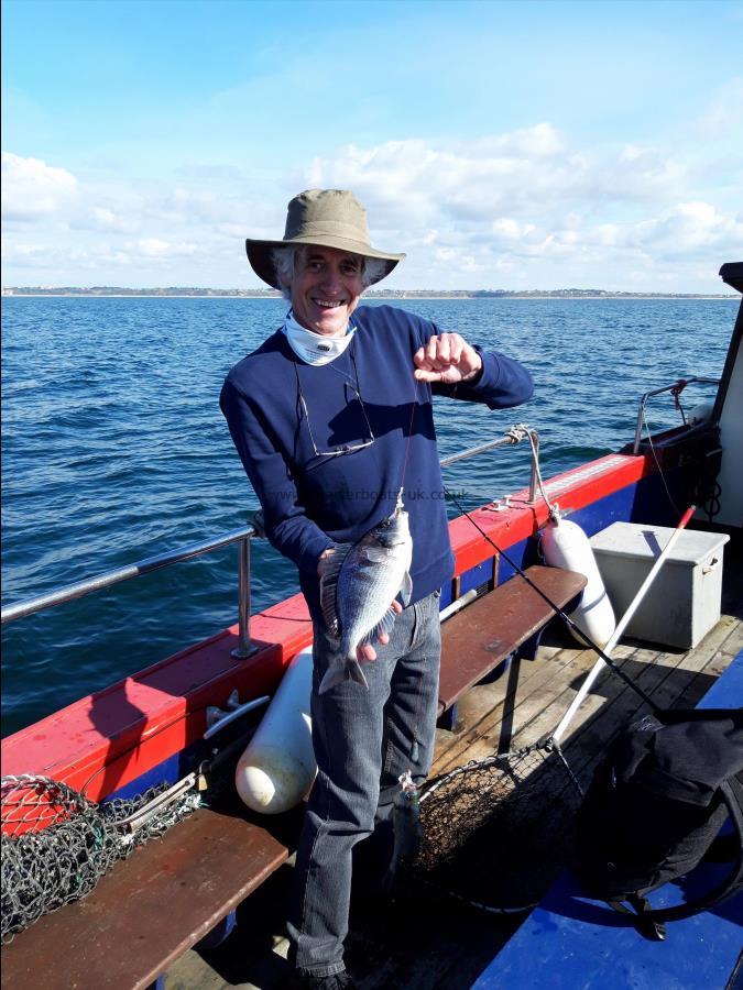 1 lb Black Sea Bream by Kevin Gardner