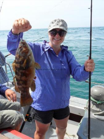 3 lb 4 oz Ballan Wrasse by Sheila