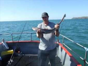6 lb Smooth-hound by Unknown