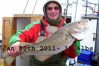 11 lb 4 oz Cod by Unknown