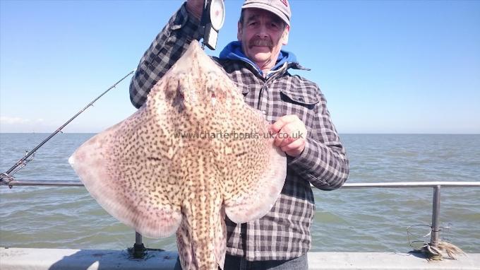 13 lb 5 oz Thornback Ray by Phil from sturry