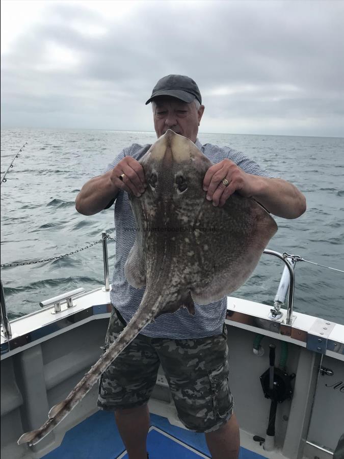 15 lb Thornback Ray by Unknown