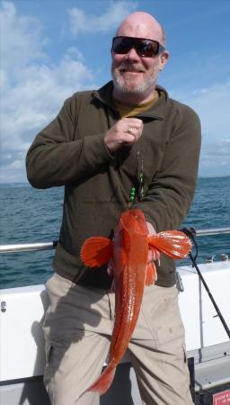 2 lb Red Gurnard by Kevan Lee