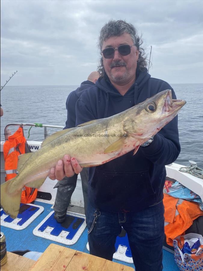 5 lb 8 oz Pollock by Gaz.