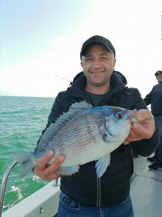 2 lb 14 oz Black Sea Bream by Adam