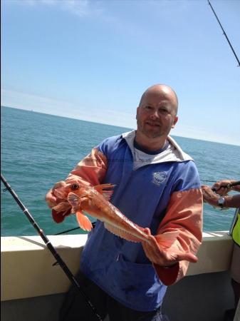 2 lb 13 oz Red Gurnard by Unknown