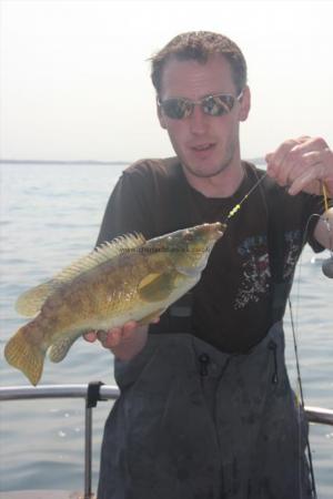 2 lb Ballan Wrasse by Mark