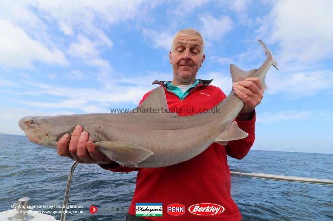 20 lb Starry Smooth-hound by Ian