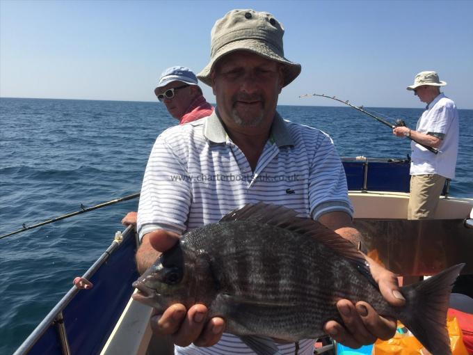 3 lb Black Sea Bream by Chris