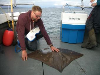 52 lb Common Skate by Mr Howet