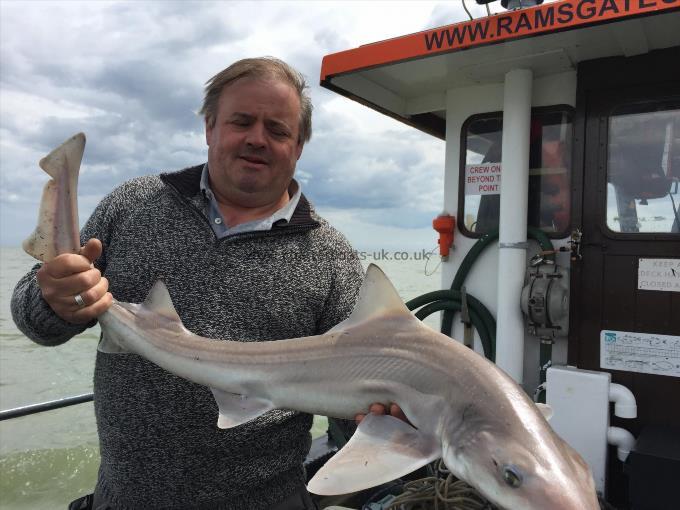 16 lb Smooth-hound by Unknown