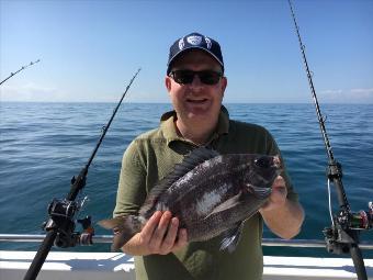 2 lb 8 oz Black Sea Bream by Unknown