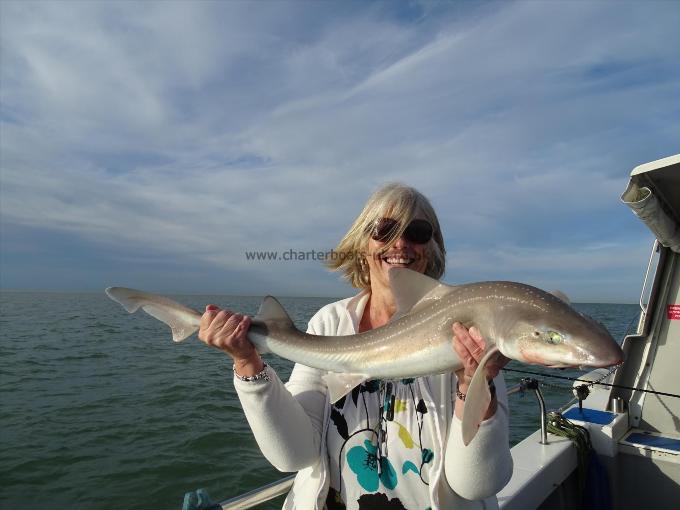 2 oz Smooth-hound by Unknown