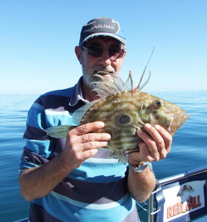 2 lb 8 oz John Dory by Kevin Clark