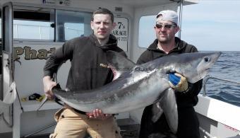 116 lb 72 oz Porbeagle by Jo